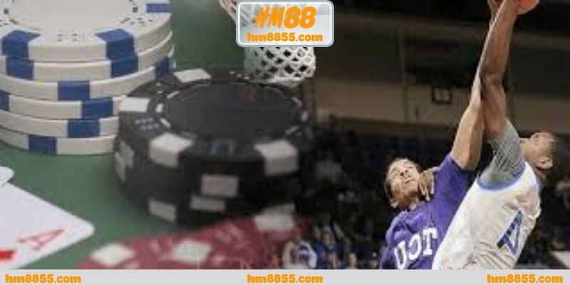 Cá cược bóng rổ nba dưới góc nhìn hành vi hội viên
