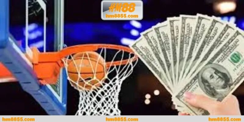 Cá cược bóng rổ nba qua cách thương hiệu xây dựng định hướng