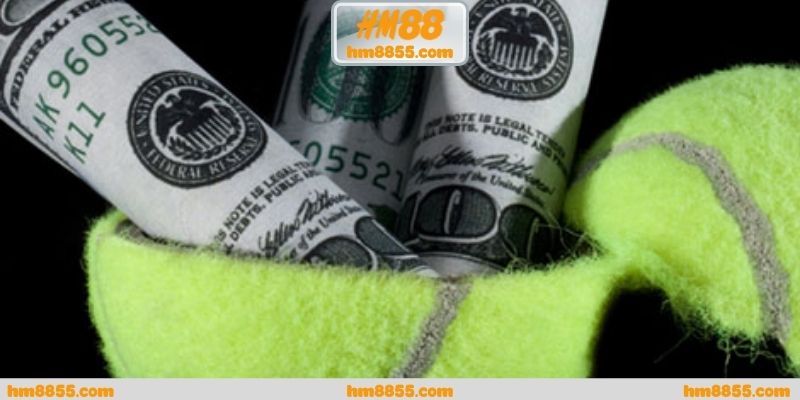 Cá cược tennis trực tuyến nhìn từ nhịp vận động của môn cá nhân