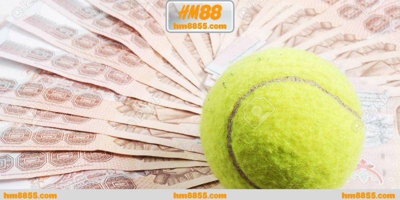 Cá cược tennis trực tuyến qua lăng kính tổ chức nền tảng