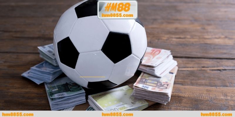 Cá cược world cup 2026 dưới góc nhìn xu hướng mới