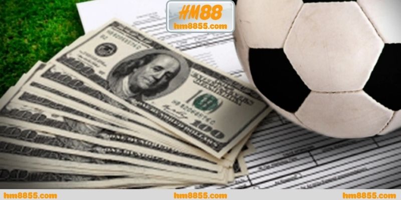 Cá cược world cup 2026 và cách thương hiệu xây dựng niềm tin
