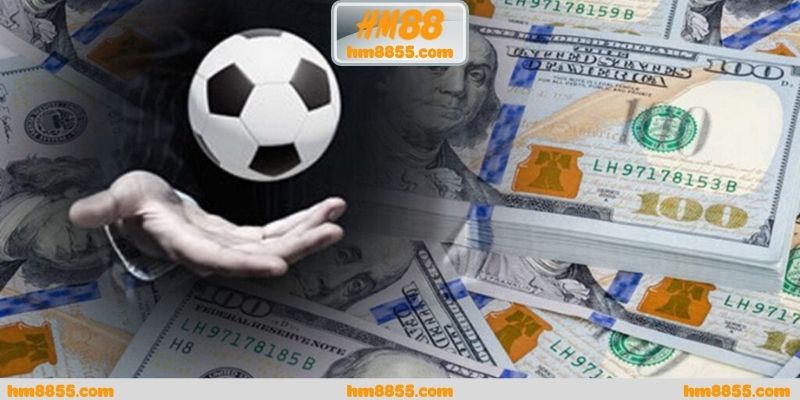Cá cược world cup 2026 và lựa chọn sân chơi phù hợp