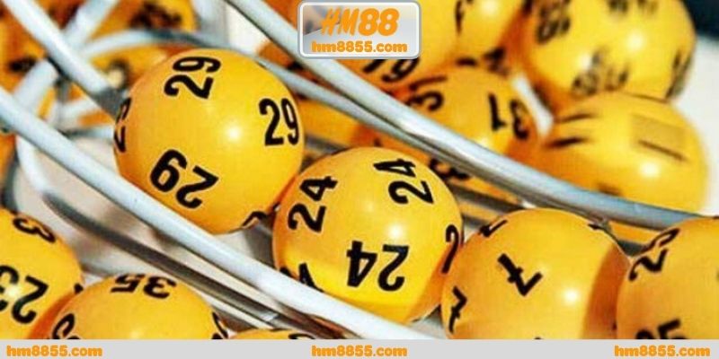 Cách tổ chức dữ liệu ảnh hưởng trực tiếp quá trình theo dõi
