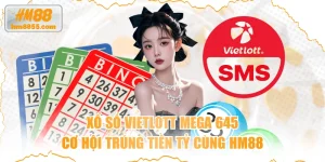 Xổ Số Vietlott Mega 645 - Cơ Hội Trúng Tiền Tỷ Cùng HM88